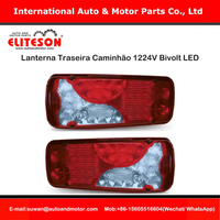 Luz traseira YN3130