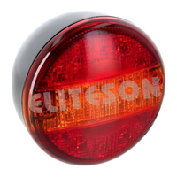 Luz traseira de caminhão 24V YN-2036